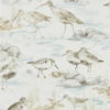 Estuary Birds 216492